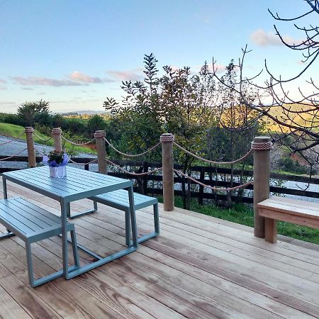 Secluded, Private Rural Retreat Mins From Warkworth -"Avondale" Minihouse Βίλα Εξωτερικό φωτογραφία